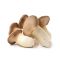 Gerber Arrowroot Cookies Pouch, 5.5 Ounce
