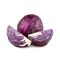 Fresh and delicious Cabbage for export