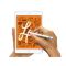 New iPad Min and supports Apple Pencil3
