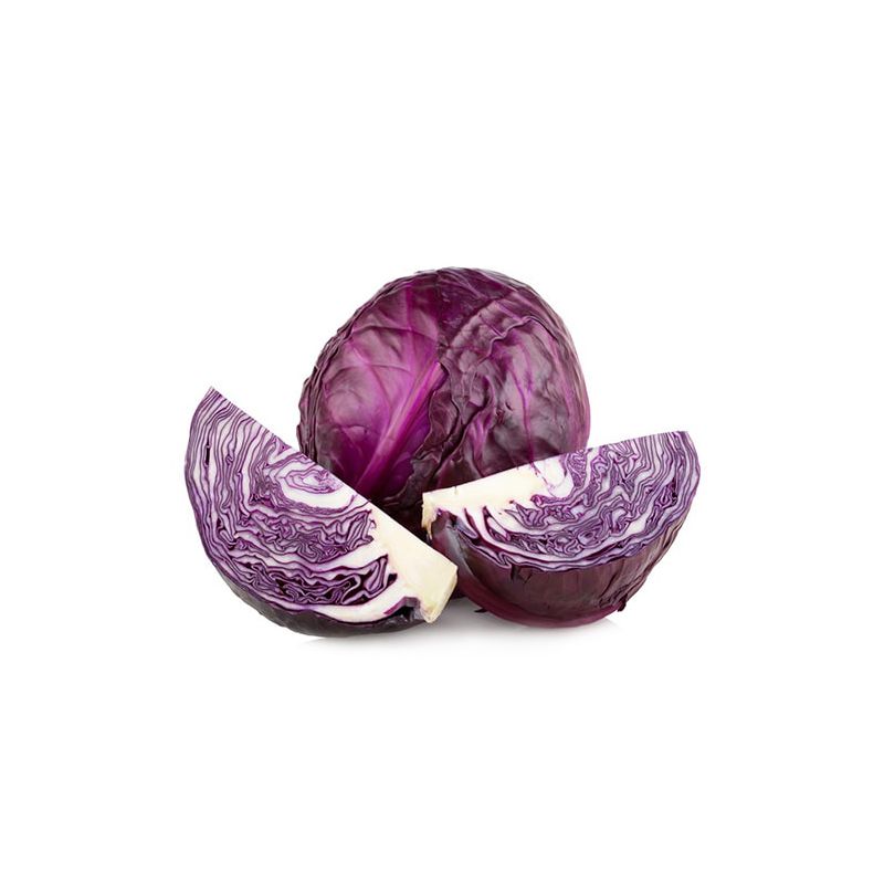 Fresh and delicious Cabbage for export